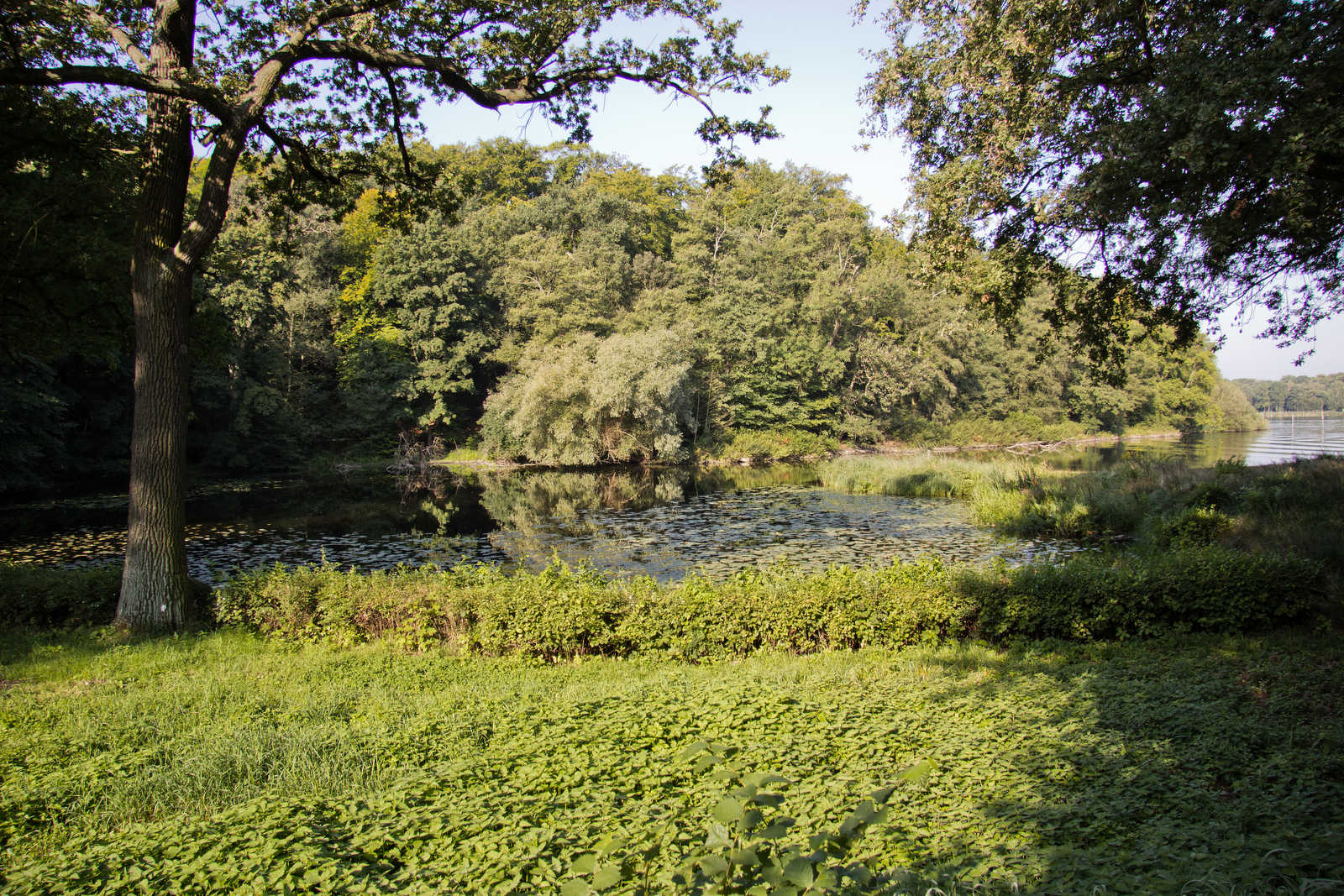 1377513065_grosser-wannsee-11.jpg